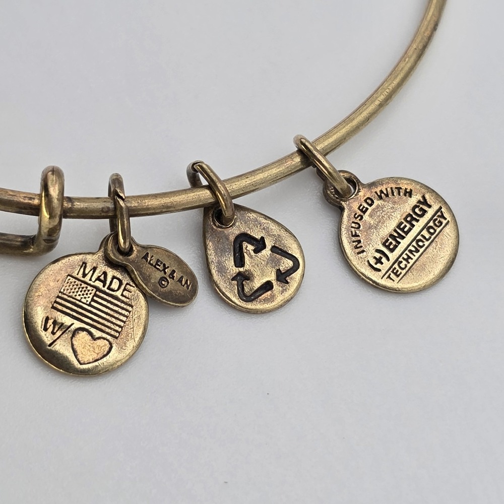 ALEX & ANI 'My Other Half' Charm Bracelet Rafaelian Gold Bangle Made In USA - Picture 5 of 9